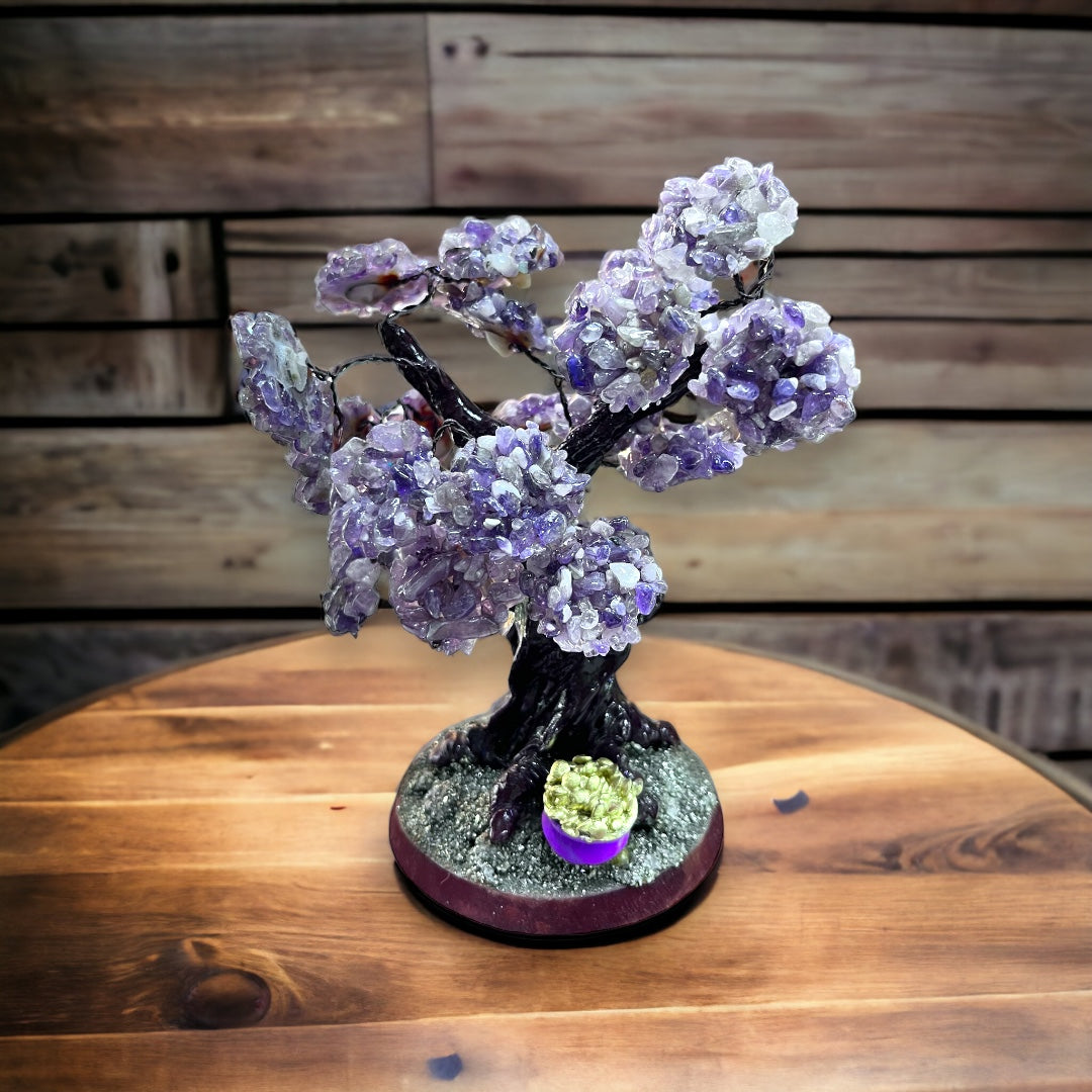 Árbol de la Felicidad tipo Bonsai Amatista